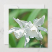 Uitnodigingen voor het kleinbeker (Voorkant)