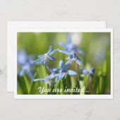 Uitnodigingen voor lentebommen (Voorkant / Achterkant)