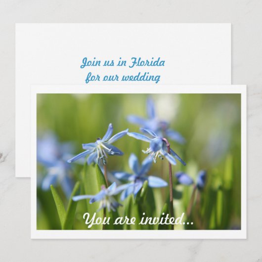 Uitnodigingen voor lentebommen (Voorkant / Achterkant)