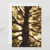 Uitnodigingen voor ookeien in het bijtende land (Achterkant)