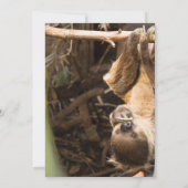 Uitnodigingen voor Sloth Tree Tops Avontuur (Achterkant)