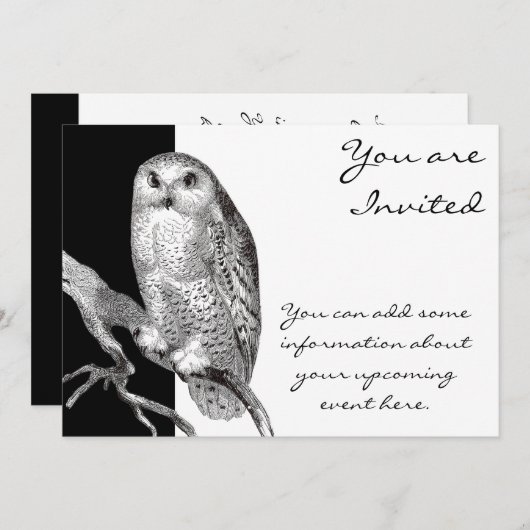  uitnodigingen voor Snowy Owl (Voorkant / Achterkant)