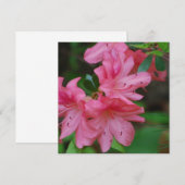 Uitnodigingen voor Struik Azalea (Voorkant / Achterkant)