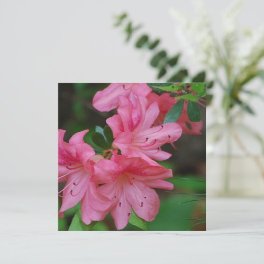 Uitnodigingen voor Struik Azalea (Staand voorkant)