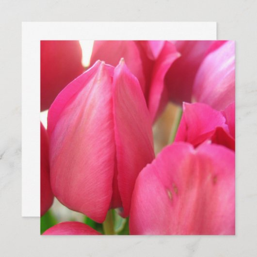 Uitnodigingen voor Tulp Bulbs (Voorkant / Achterkant)