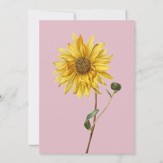 Uitnodigingen voor verloving (Achterkant)