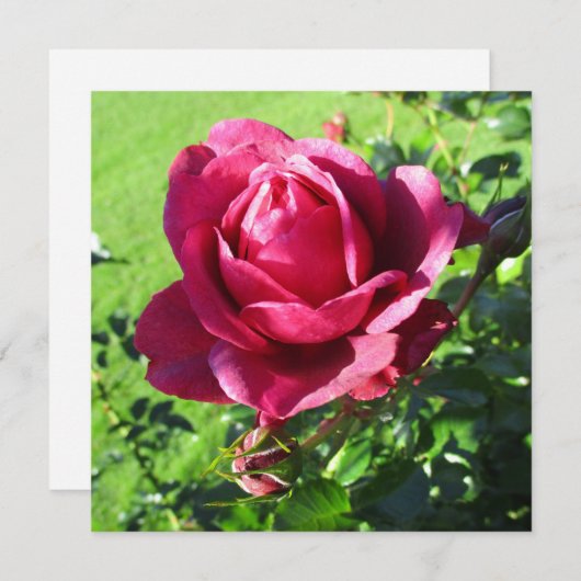 Uitnodigingskaart Kaart (Voorkant / Achterkant)