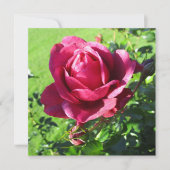 Uitnodigingskaart Kaart (Voorkant)