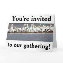 Uitnodigingskaart, pelikanen