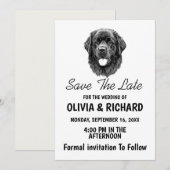 Uitnodigingskaart voor Newfoundlander hond Kaart (Voorkant / Achterkant)