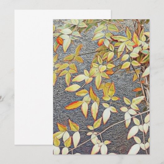 Uitnodigingskaarten / kaart (Voorkant / Achterkant)