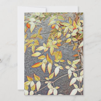 Uitnodigingskaarten / kaart