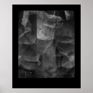 Uitoefening in continuïteit poster