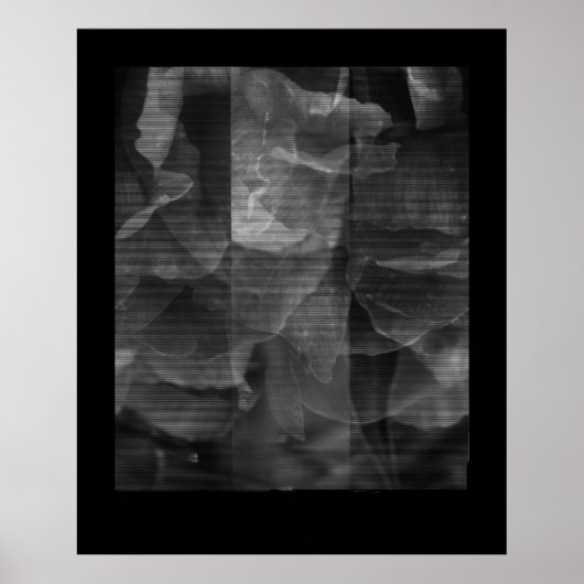 Uitoefening in continuïteit poster (Voorkant)