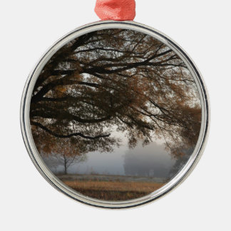 Uitpakken Metalen Ornament