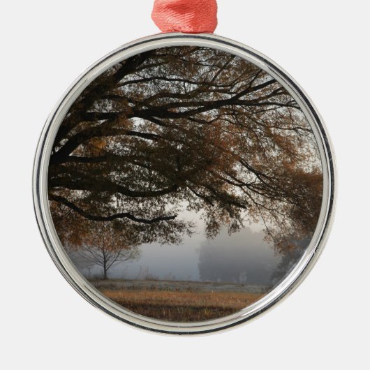 Uitpakken Metalen Ornament (Voorkant)