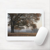 Uitpakken Muismat (Met muis)