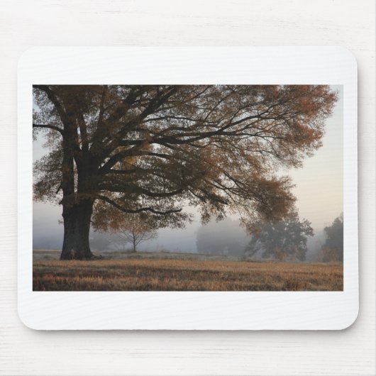 Uitpakken Muismat (Voorkant)