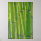 Uitpakken Poster (Voorkant)