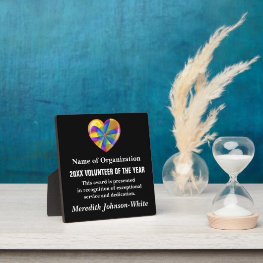 Uitreiking vrijwilliger van het Jaar Fotoplaat (Insitu)