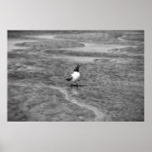 Uitroepen Poster (Voorkant)