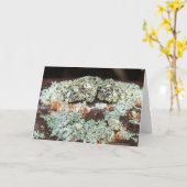 Uitrusting voor roestvrij Boerderij Kaart (Gele Bloem)