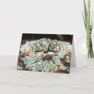 Uitrusting voor roestvrij Boerderij Kaart