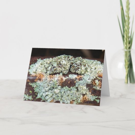 Uitrusting voor roestvrij Boerderij Kaart (Voorkant)