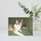 Uitschakelen Briefkaart (Staand voorkant)