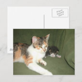 Uitschakelen Briefkaart (Voorkant / Achterkant)