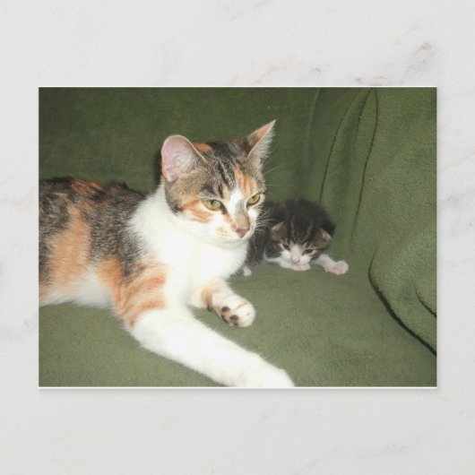 Uitschakelen Briefkaart (Voorkant)