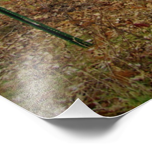 "Uitsluitend benoeming" Foto Afdruk (Hoek)