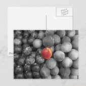 Uitsluitend Briefkaart (Voorkant / Achterkant)