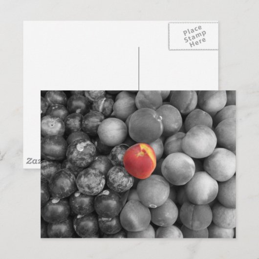 Uitsluitend Briefkaart (Voorkant / Achterkant)