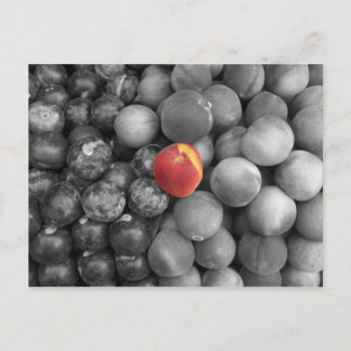 Uitsluitend Briefkaart