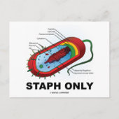 Uitsluitend voor gebruik in de stapel (Bacteria He Briefkaart (Voorkant)