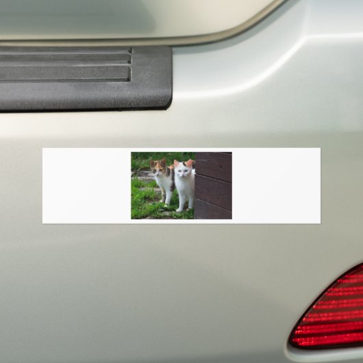 Uitspelen van katten bumpersticker (Op auto)