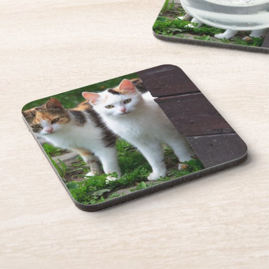 Uitspelen van katten drankjes onderzetter (Linkerzijde)