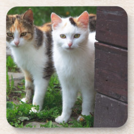 Uitspelen van katten drankjes onderzetter