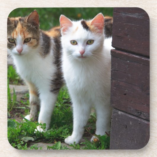 Uitspelen van katten drankjes onderzetter (Voorkant)