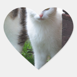 Uitspelen van katten hart sticker