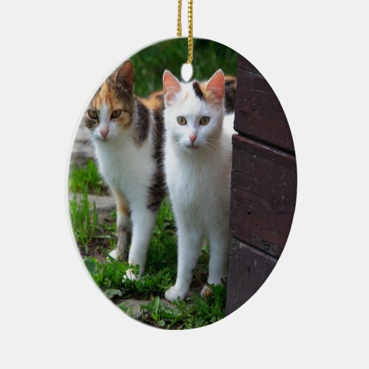 Uitspelen van katten keramisch ornament (Rechts)