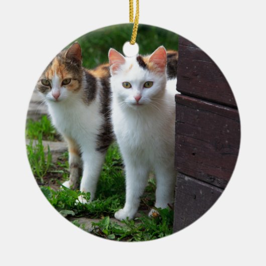 Uitspelen van katten keramisch ornament (Voorkant)