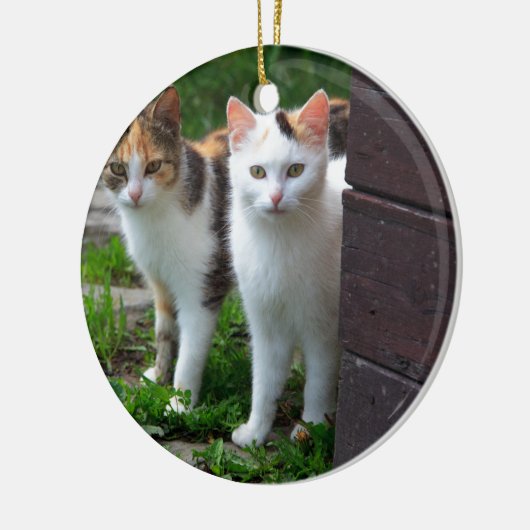 Uitspelen van katten keramisch ornament (Links)
