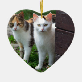 Uitspelen van katten keramisch ornament