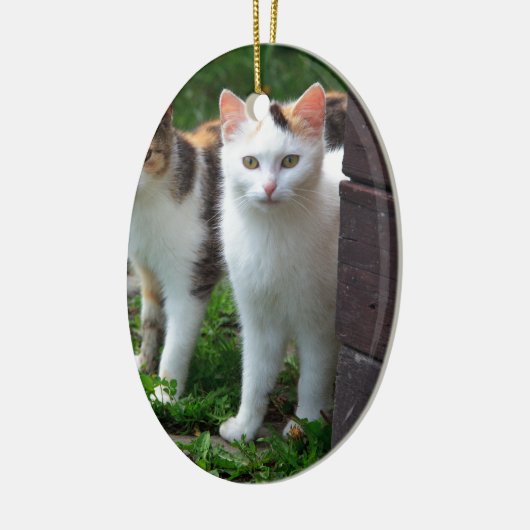 Uitspelen van katten keramisch ornament (Links)