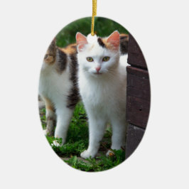 Uitspelen van katten keramisch ornament