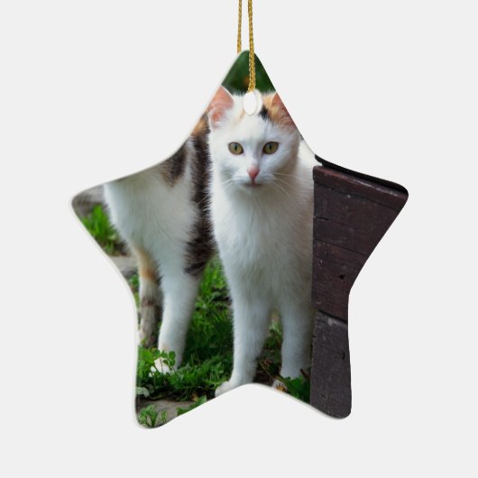 Uitspelen van katten keramisch ornament (Rechts)