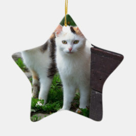 Uitspelen van katten keramisch ornament