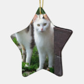 Uitspelen van katten keramisch ornament (Links)